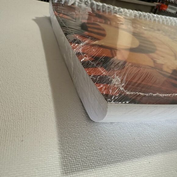 BJU Spanish 1 Activities Manual Teacher's Edition 2nd edition - Picture 2 of 4